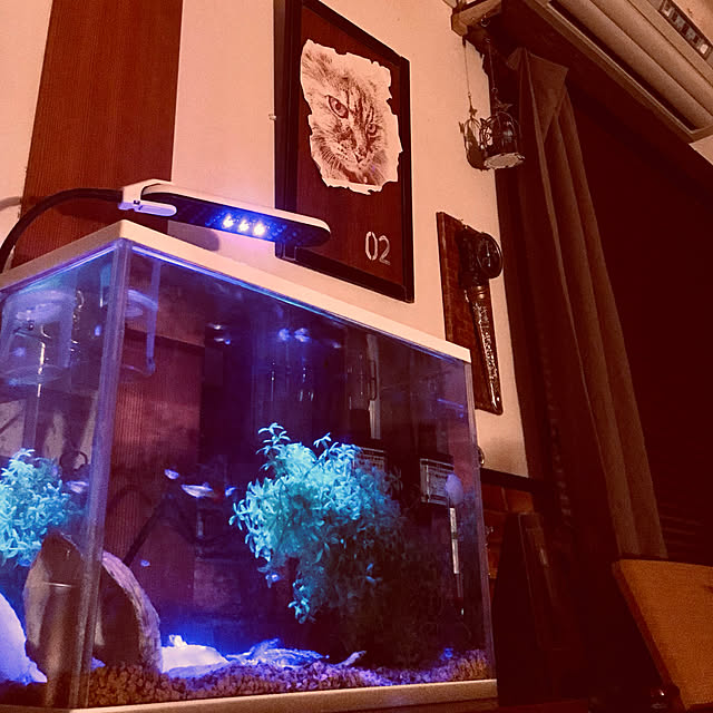 maroさんの実例写真