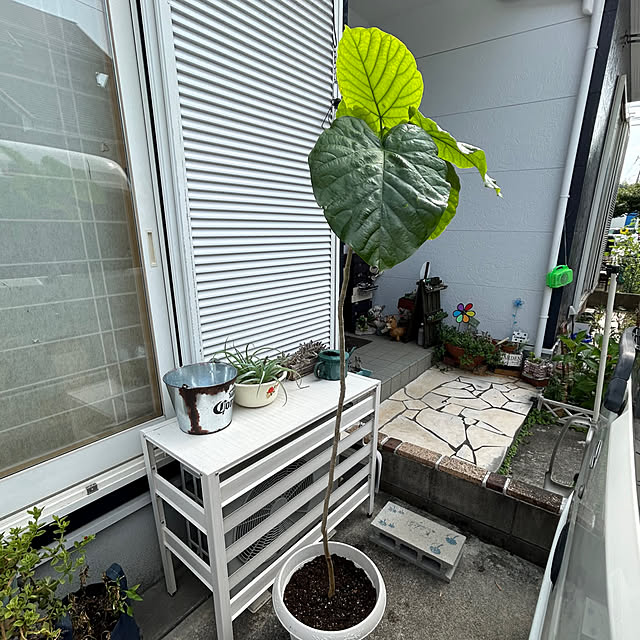 Fumiさんの部屋