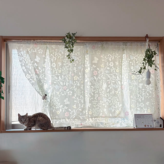 kana_mamさんの実例写真