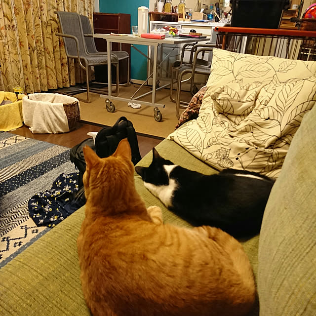 okyosan101さんの実例写真