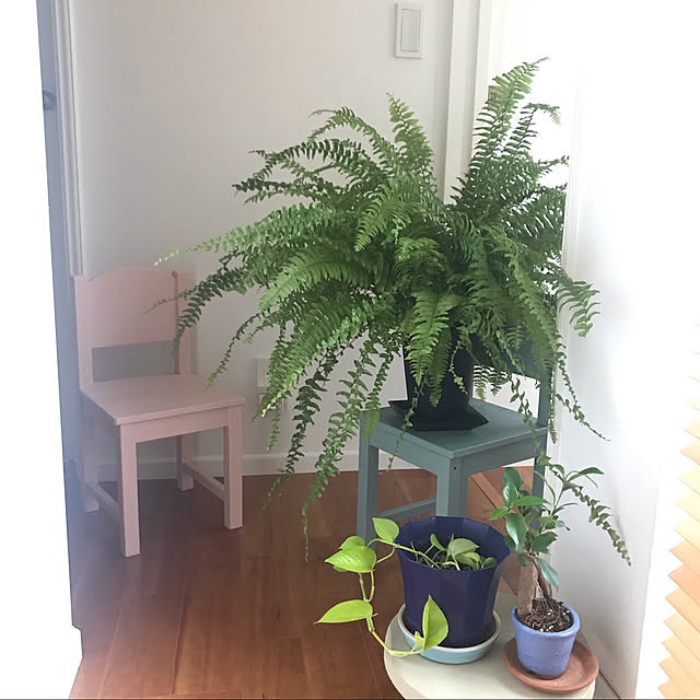 tweety_homedecorさんの実例写真