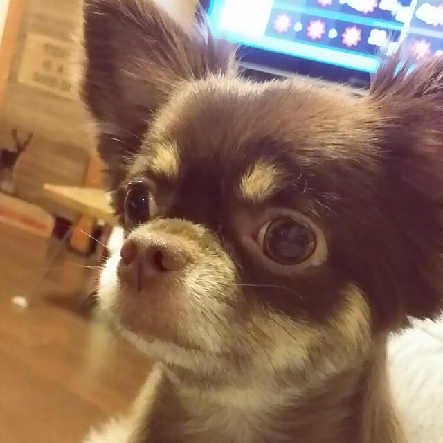 hisachanさんの実例写真