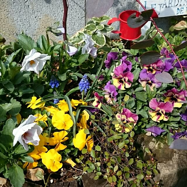 soraさんの実例写真