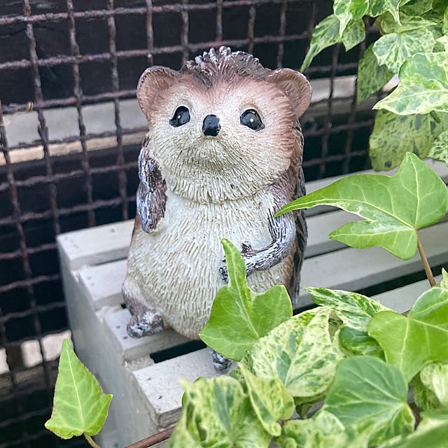 usako66さんの部屋