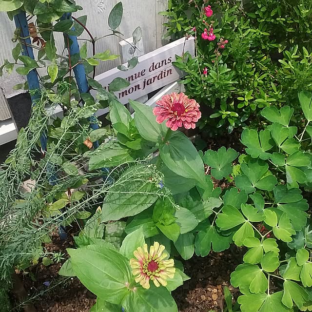 yukkoさんの実例写真