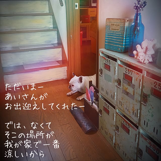 38coreさんの実例写真