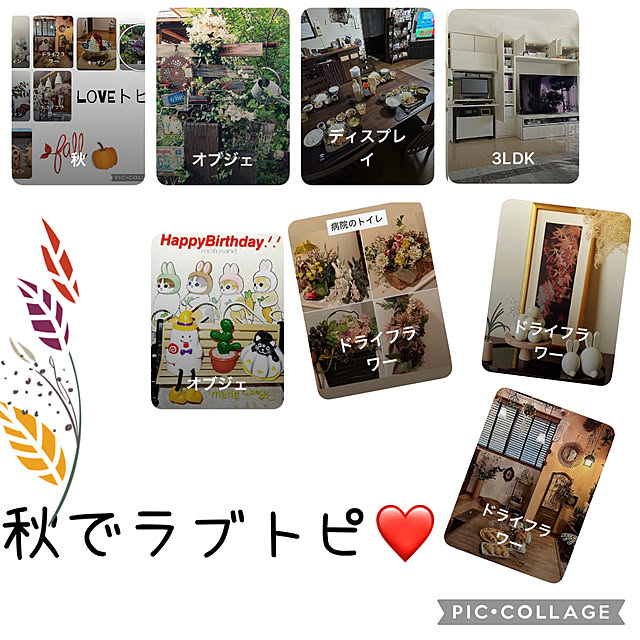 CoCo0617さんの実例写真