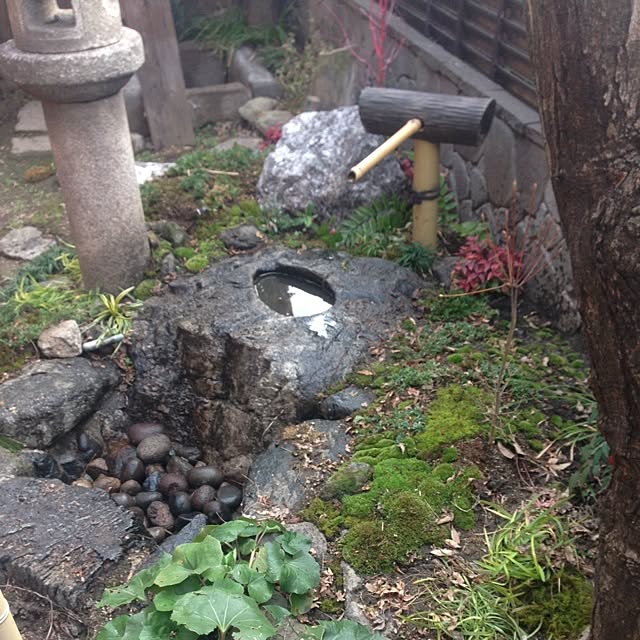 Takumaさんの実例写真