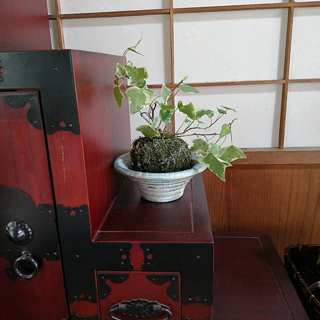 ym0115さんの実例写真