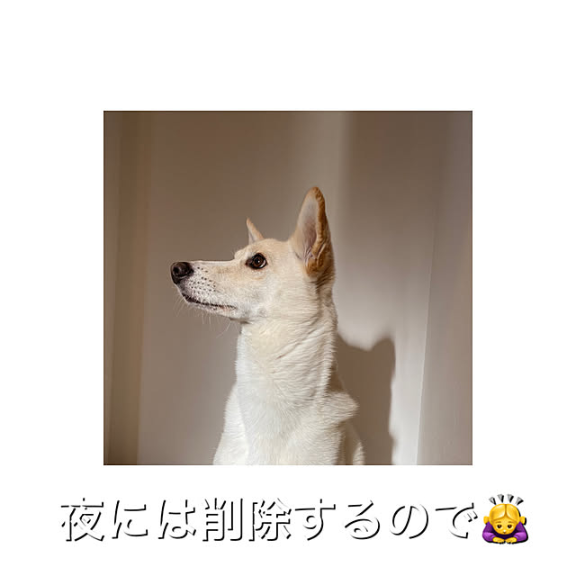 tanboさんの実例写真