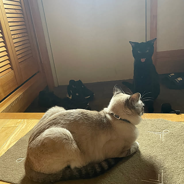 3ho5さんの実例写真