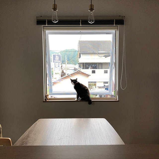 futatsukiさんの実例写真