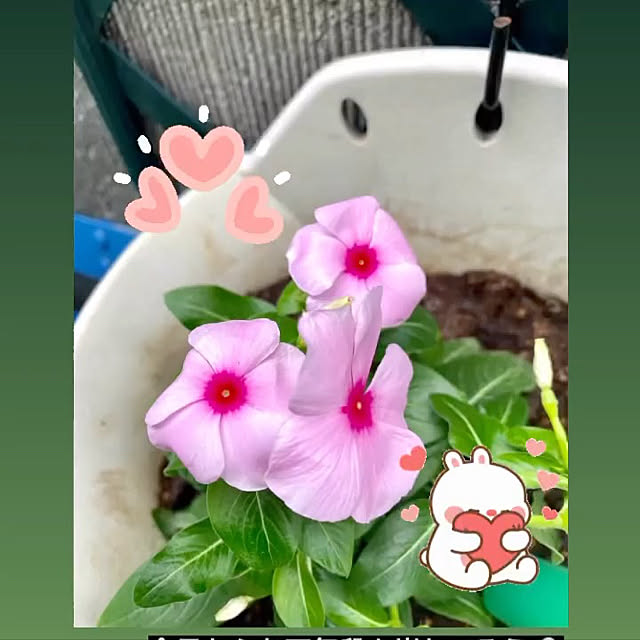YuuKoさんの実例写真