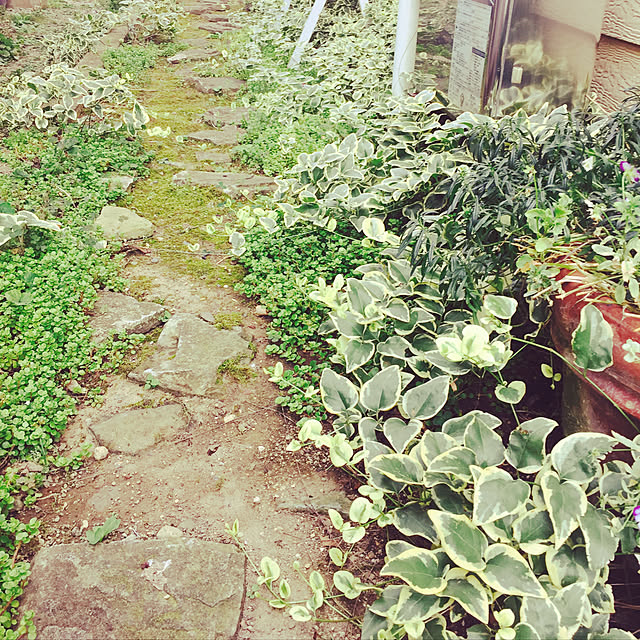 a.k.0116さんの実例写真