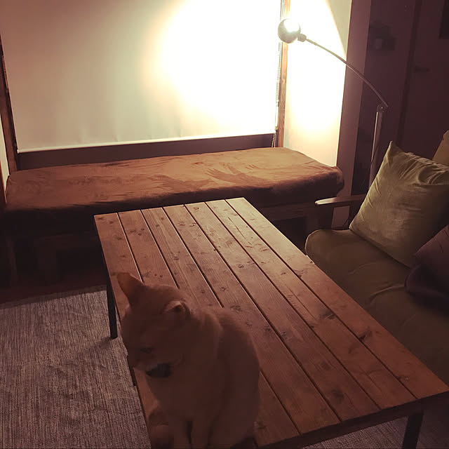 mikan161さんの実例写真