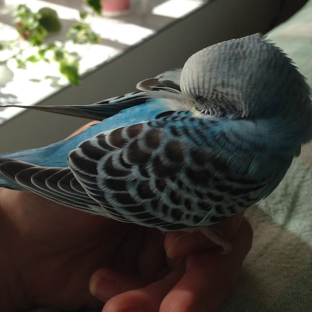 Rikoさんの実例写真