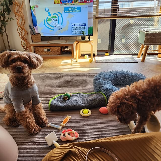 yumitanさんの部屋