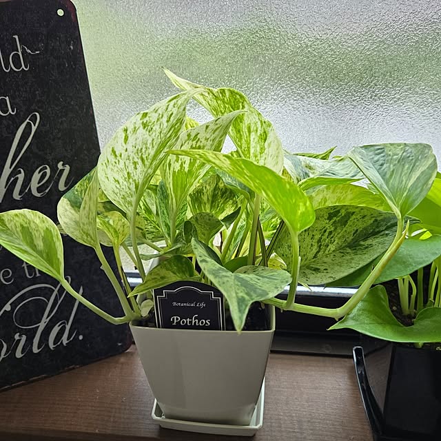 min_nimさんの部屋