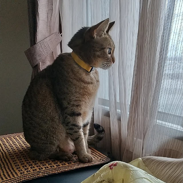 nanohanaさんの実例写真