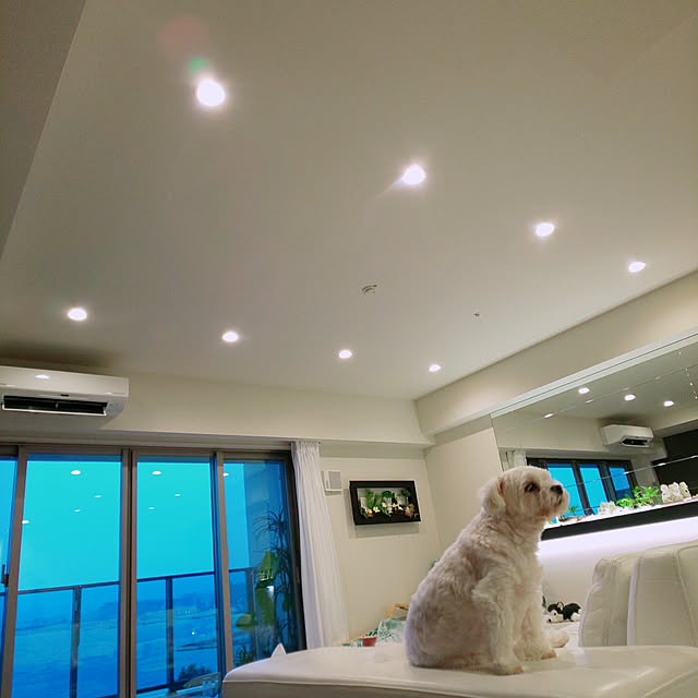 yuchanさんの実例写真
