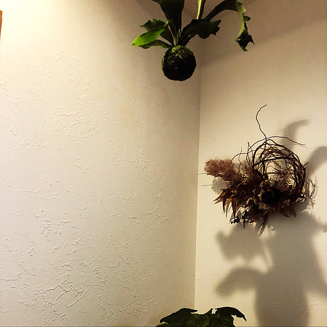 mamizuさんの実例写真