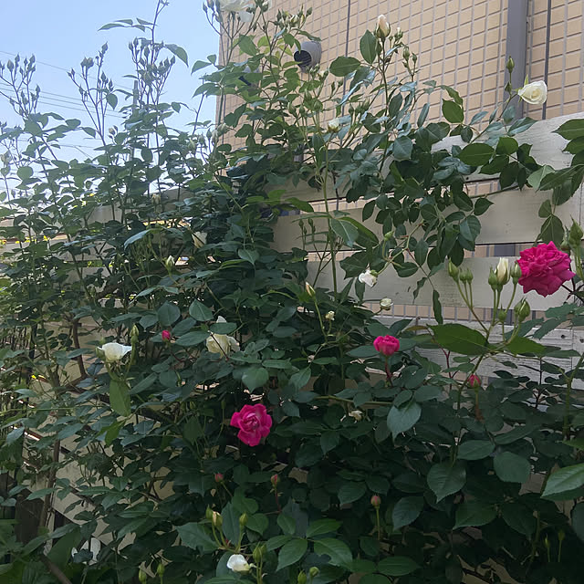 na-chanさんの部屋