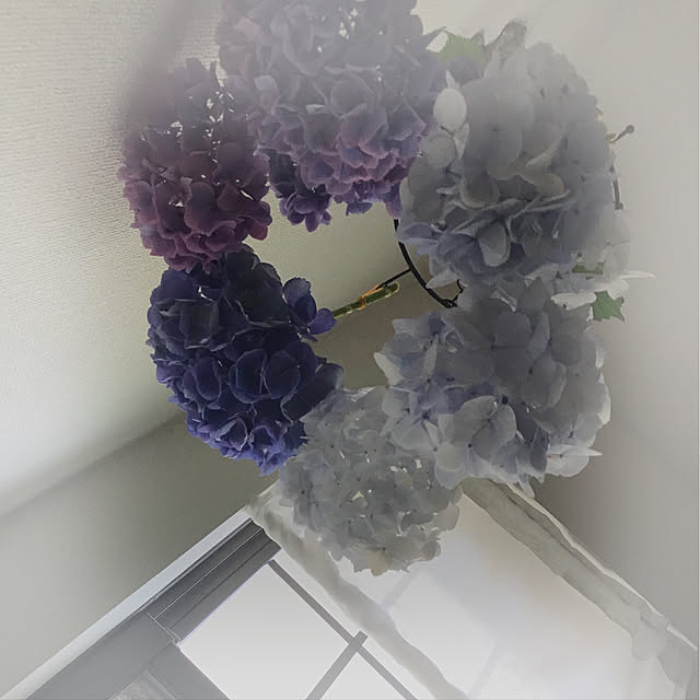 soraさんの実例写真