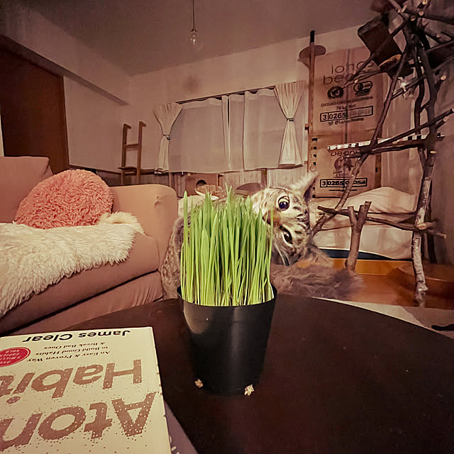 Mさんの部屋