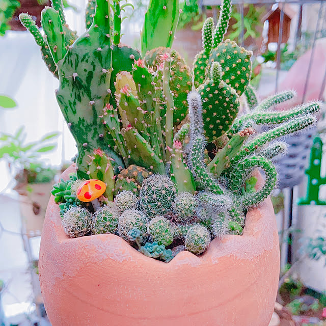 Hanakaさんの部屋
