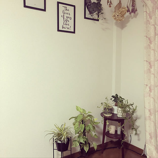 観葉植物/一人暮らし/賃貸アパート/1R/賃貸インテリア...などのインテリア実例 - 2019-08-21 00:27:17