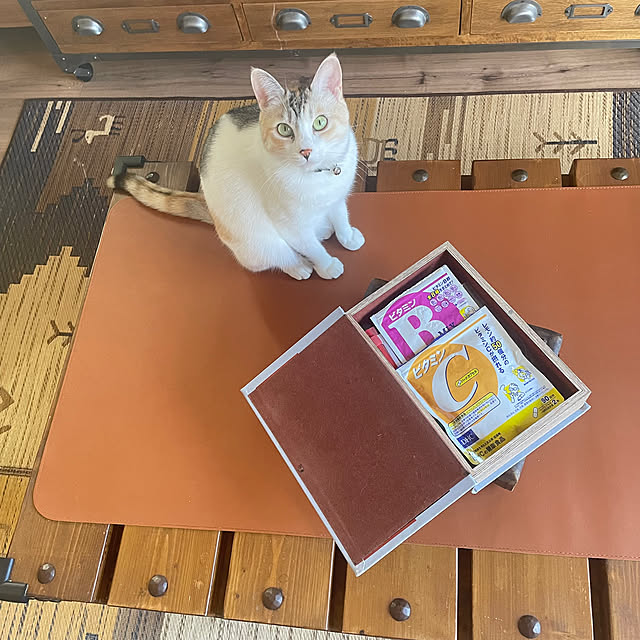 orange-toastさんの実例写真