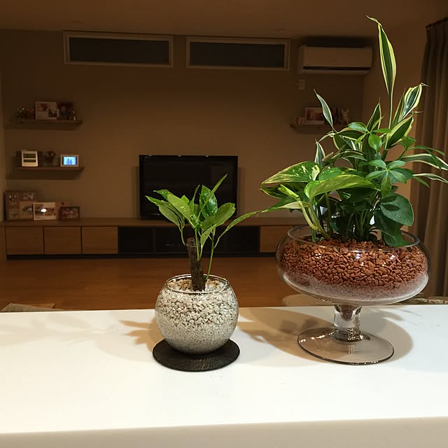 misanさんの実例写真