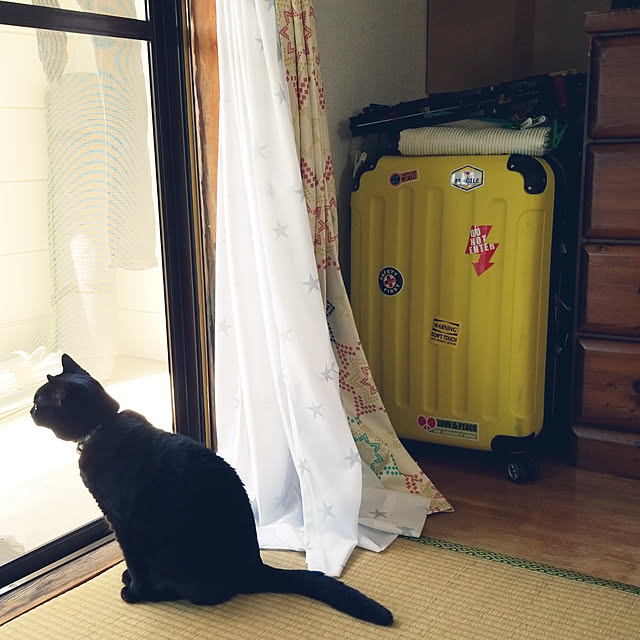 ecocoさんの実例写真