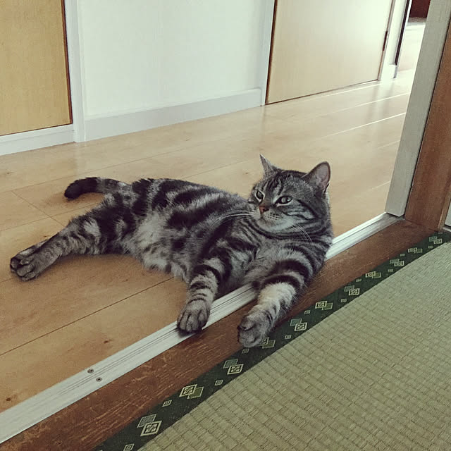 richanさんの実例写真