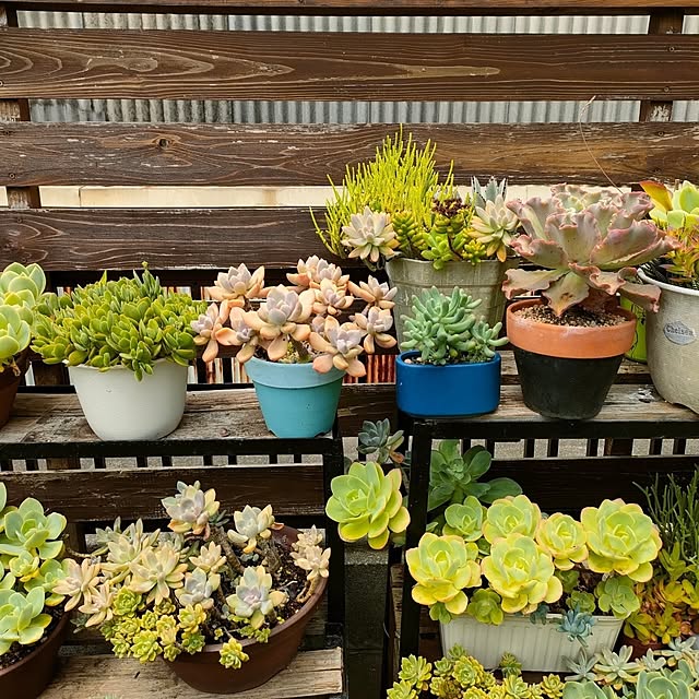 VERANDARJUNさんの実例写真