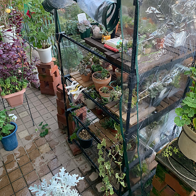 Aqettyさんの部屋