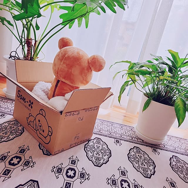 surviveさんの部屋