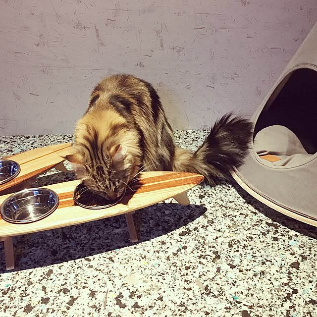 decorameowさんの実例写真