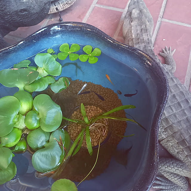 rhuさんの実例写真