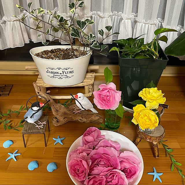 kakoさんの実例写真