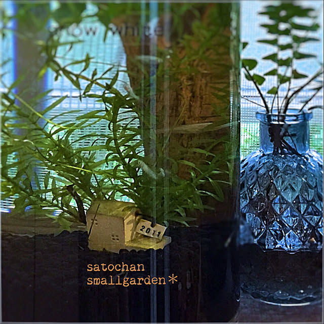 satochanさんの実例写真