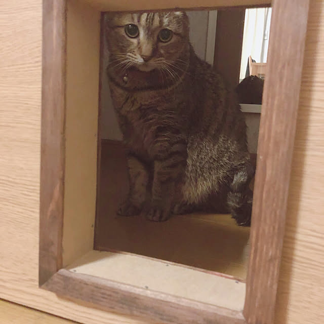 taeさんの実例写真