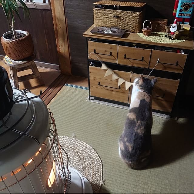 fukuさんの実例写真