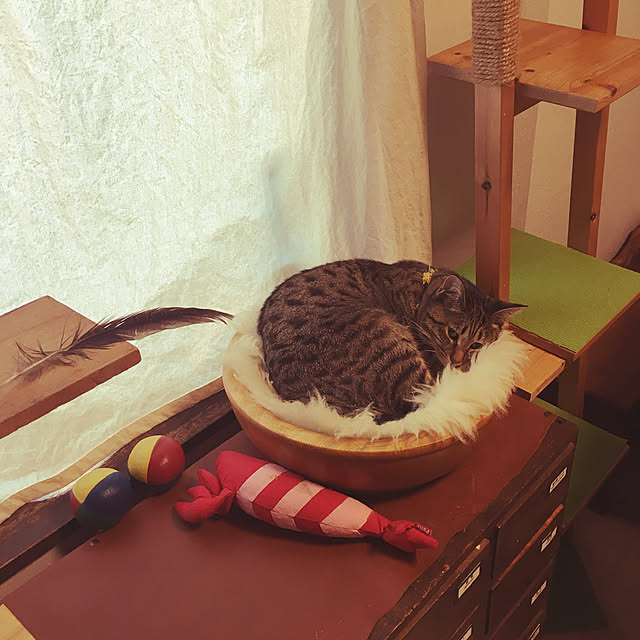 Mさんの実例写真