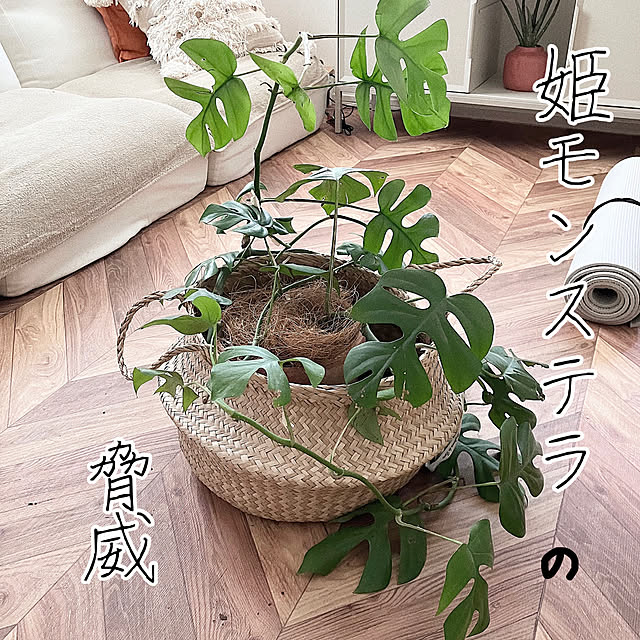 mako2yaさんの実例写真