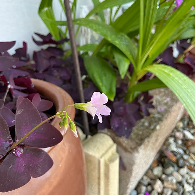 chiiyanさんの部屋