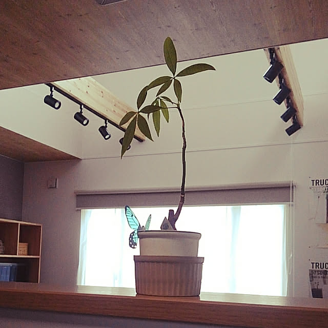 shin-chaa-mamaさんの実例写真
