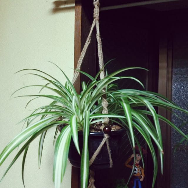 kamechanさんの実例写真