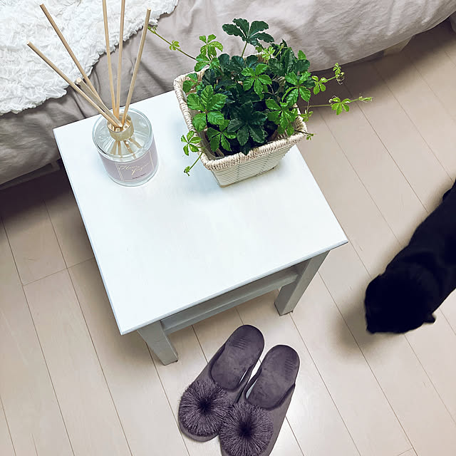 nekomiさんの部屋