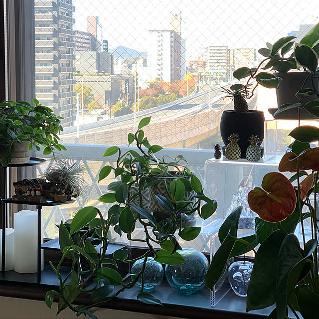 rinrinさんの実例写真